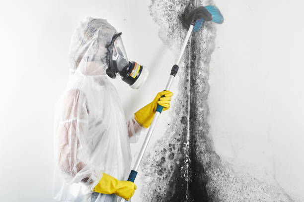 Best Mold Remediation for Healthcare Facilities  in Groveville, NJ