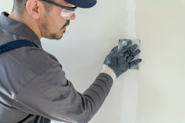 Trusted Groveville, NJ Mold Removal Experts